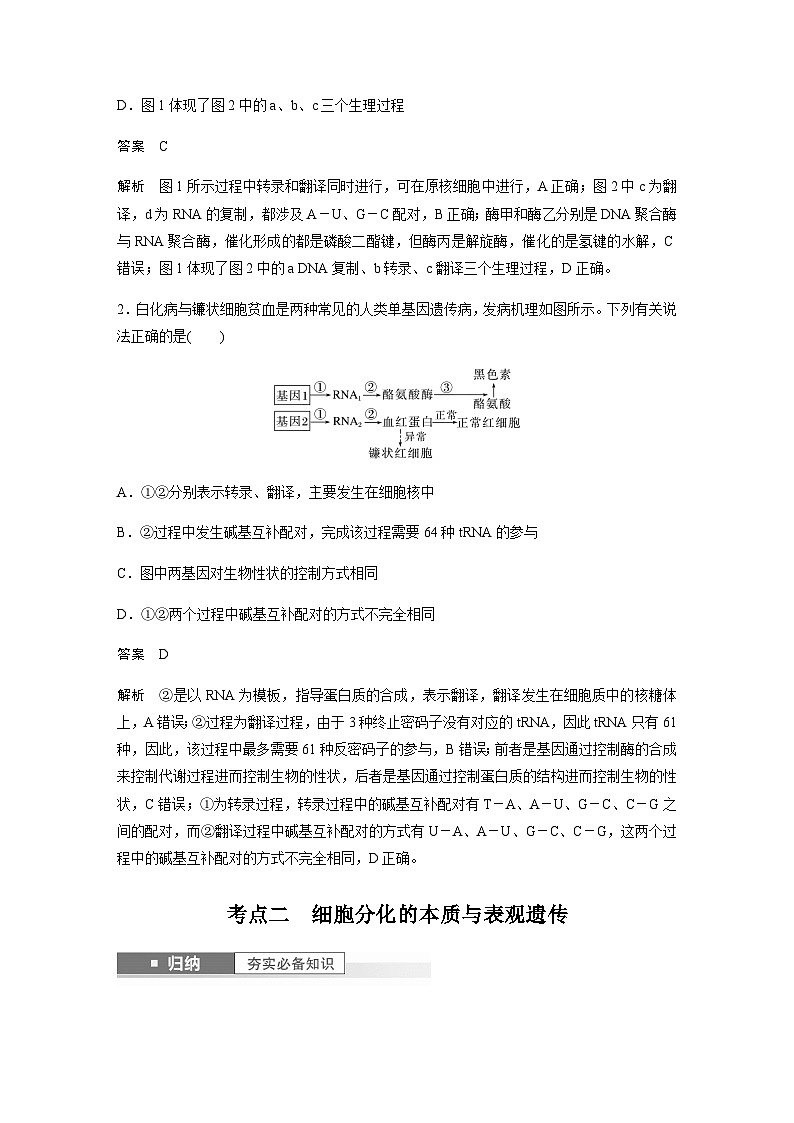2024届苏教版高考生物一轮复习中心法则、细胞分化的本质与表观遗传学案03
