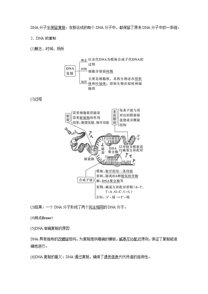 2024届苏教版高考生物一轮复习DNA的复制学案02