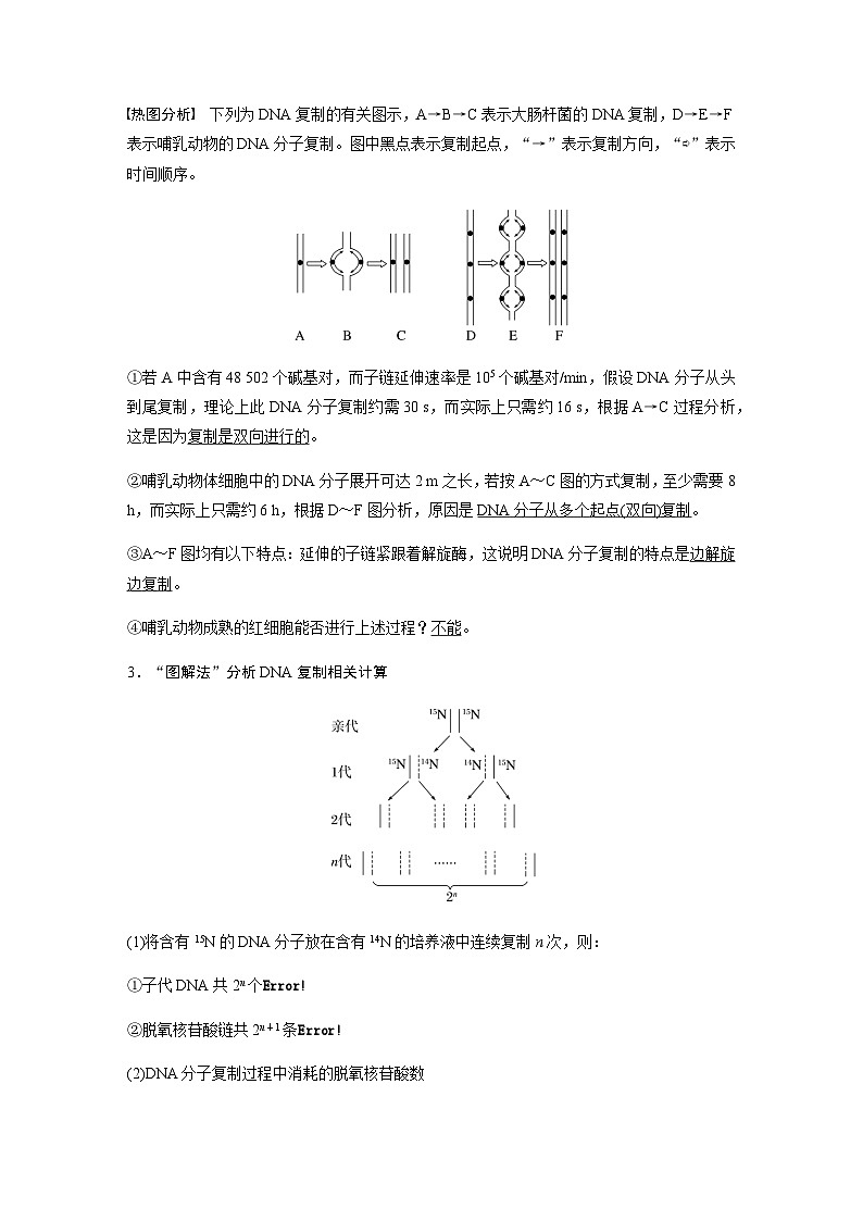 2024届苏教版高考生物一轮复习DNA的复制学案03