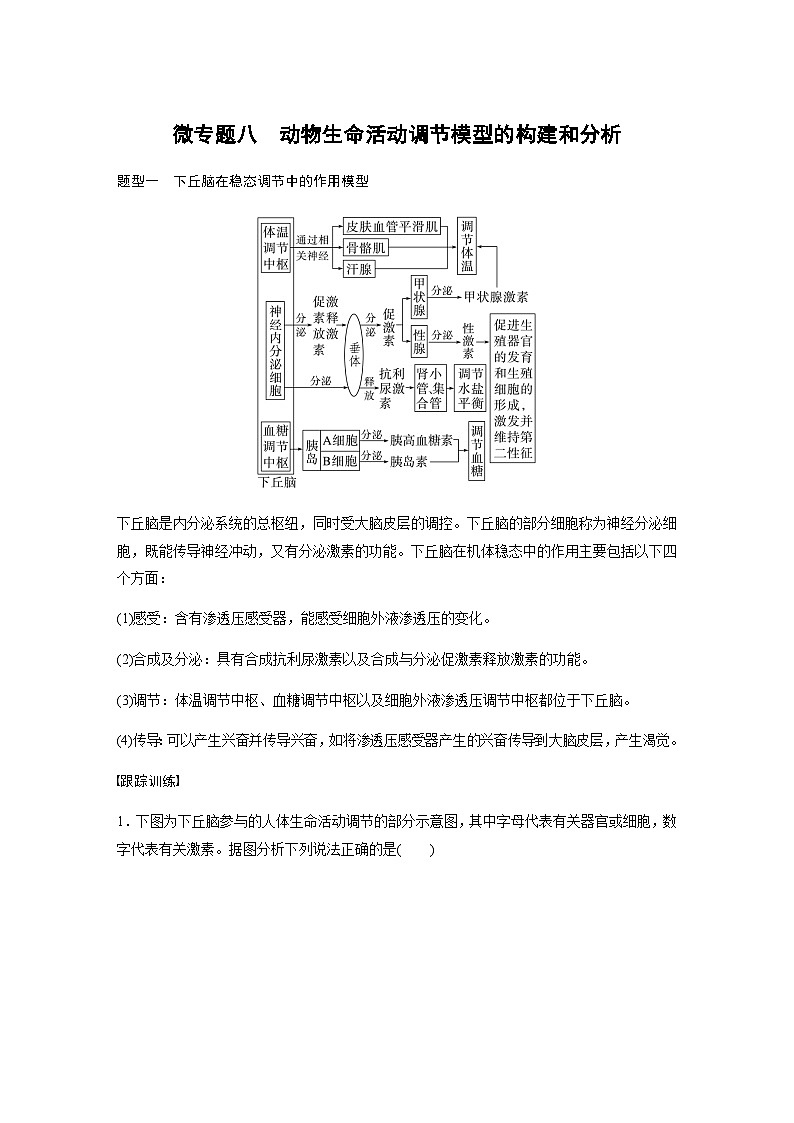 2024届苏教版高考生物一轮复习微专题八动物生命活动调节模型的构建学案第1页