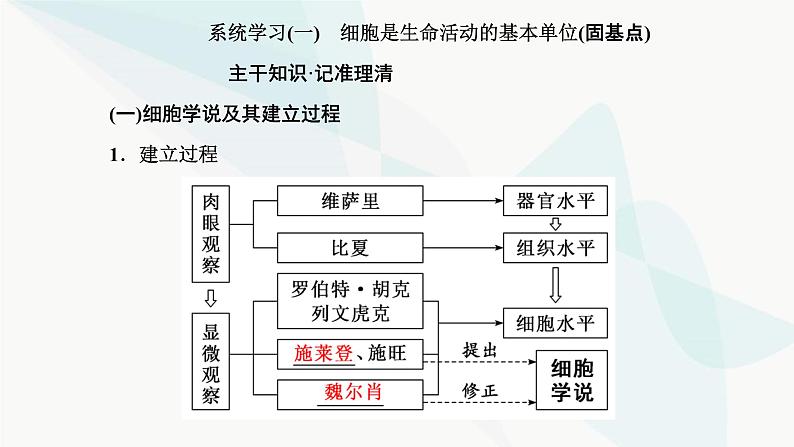 人教版2024届高考生物一轮复习走近细胞课件05