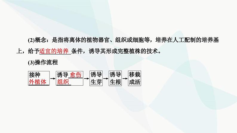 人教版2024届高考生物一轮复习植物细胞工程课件第6页