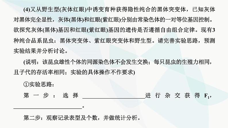 人教版2024届高考生物一轮复习有关遗传类实验的设计与分析课件第5页