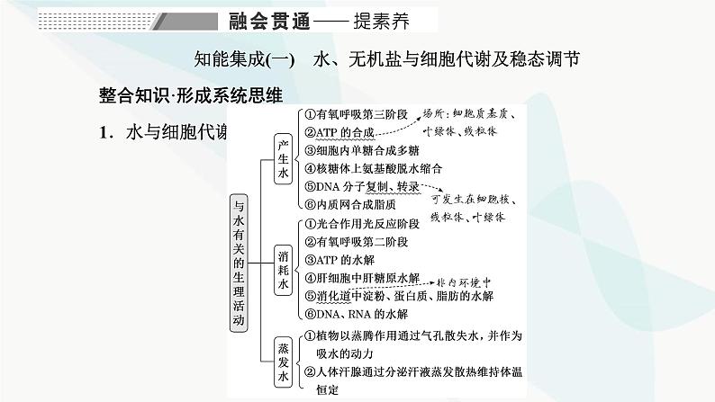 人教版2024届高考生物一轮复习细胞中的物质在生命活动中的相互关系课件第8页