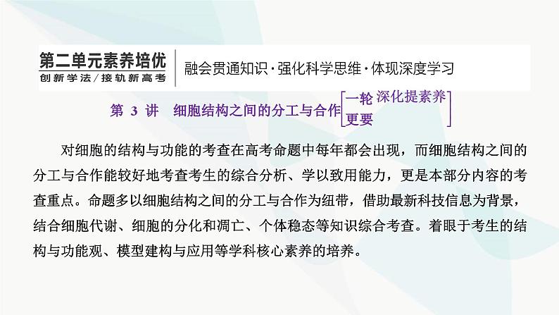 人教版2024届高考生物一轮复习细胞结构之间的分工与合作课件第1页