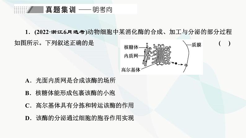 人教版2024届高考生物一轮复习细胞结构之间的分工与合作课件第2页