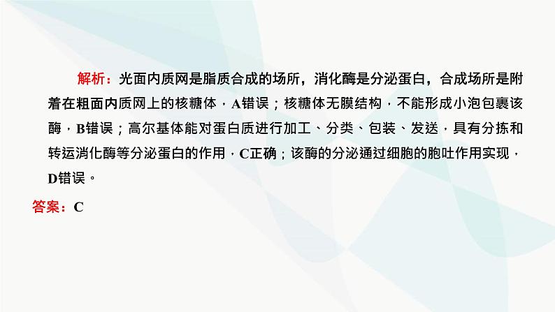 人教版2024届高考生物一轮复习细胞结构之间的分工与合作课件第3页