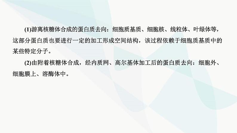 人教版2024届高考生物一轮复习细胞结构之间的分工与合作课件第7页