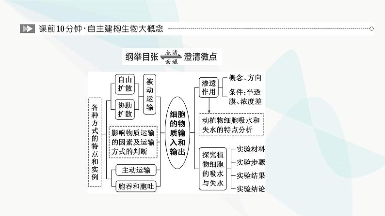 人教版2024届高考生物一轮复习细胞的物质输入和输出课件02