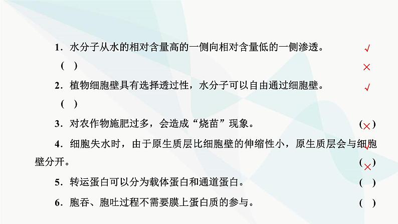 人教版2024届高考生物一轮复习细胞的物质输入和输出课件03