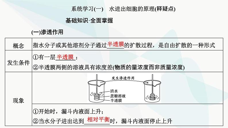 人教版2024届高考生物一轮复习细胞的物质输入和输出课件04