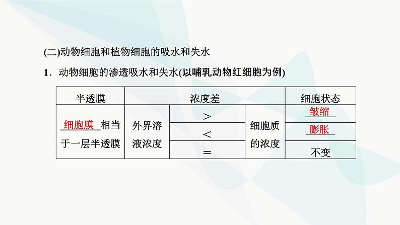 人教版2024届高考生物一轮复习细胞的物质输入和输出课件05