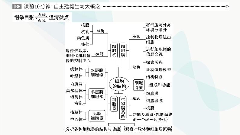 人教版2024届高考生物一轮复习细胞的基本结构课件第3页