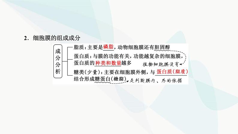 人教版2024届高考生物一轮复习细胞的基本结构课件第7页