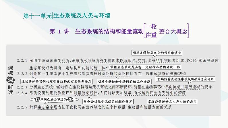 人教版2024届高考生物一轮复习生态系统的结构和能量流动课件第1页