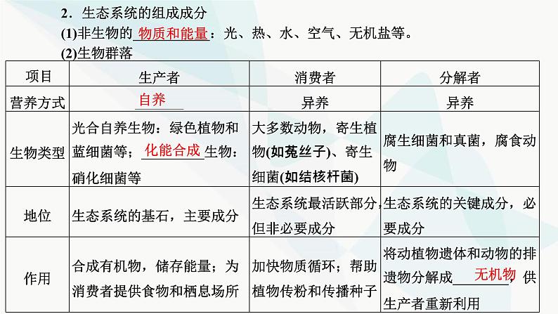 人教版2024届高考生物一轮复习生态系统的结构和能量流动课件第5页