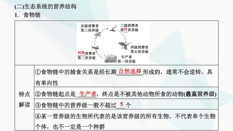 人教版2024届高考生物一轮复习生态系统的结构和能量流动课件第6页