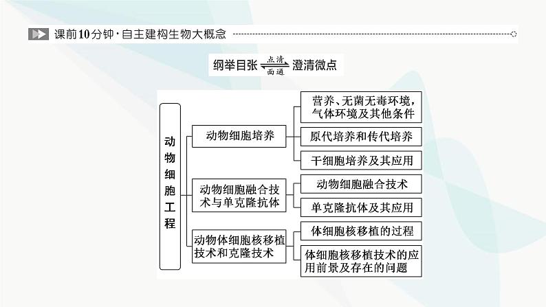 人教版2024届高考生物一轮复习动物细胞工程课件第2页