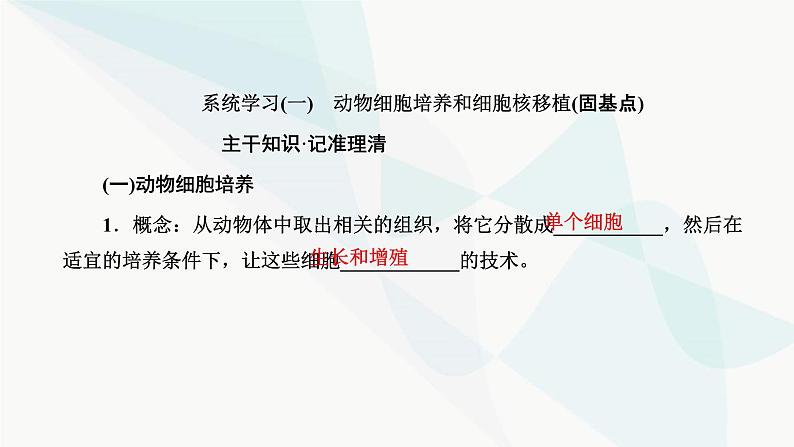 人教版2024届高考生物一轮复习动物细胞工程课件第4页