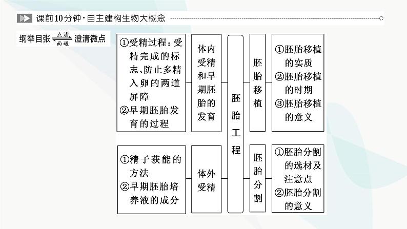 人教版2024届高考生物一轮复习胚胎工程课件第2页