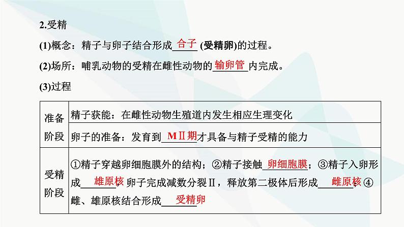 人教版2024届高考生物一轮复习胚胎工程课件第5页