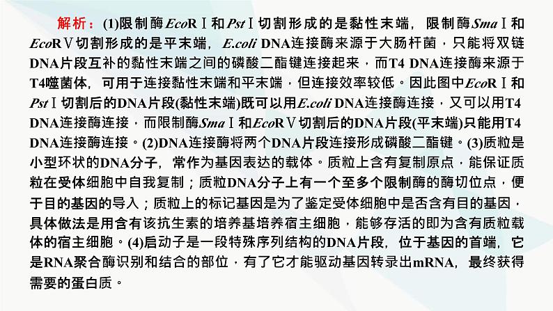 人教版2024届高考生物一轮复习重点研究“基因工程操作中限制酶的选择和PCR技术”课件第4页