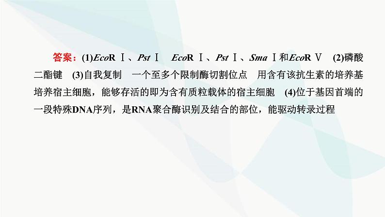 人教版2024届高考生物一轮复习重点研究“基因工程操作中限制酶的选择和PCR技术”课件第5页