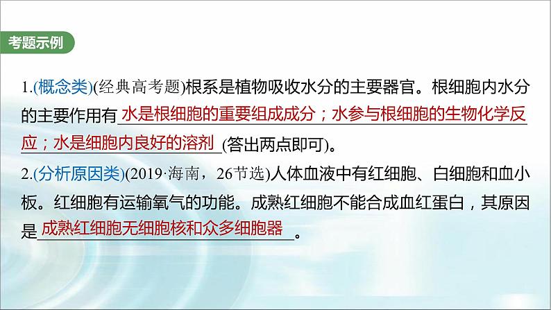 苏教版2024届高考生物一轮复习（一）与细胞有关的概念、特点和作用的描述课件第2页