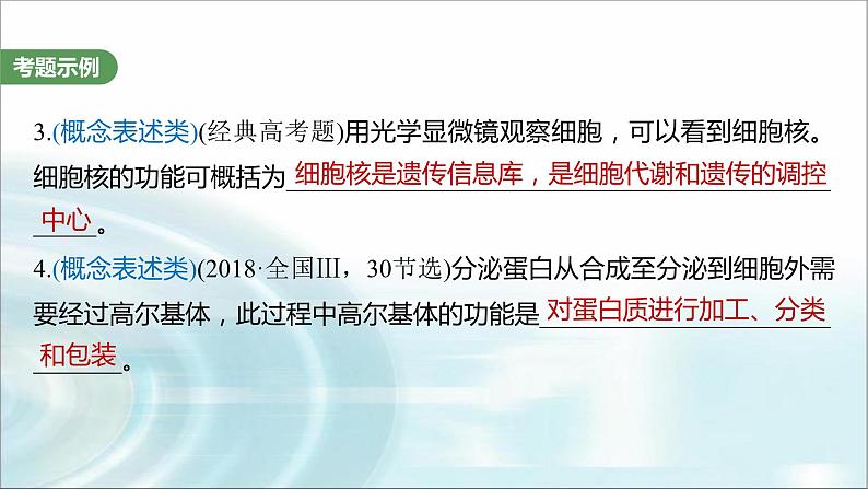 苏教版2024届高考生物一轮复习（一）与细胞有关的概念、特点和作用的描述课件第3页