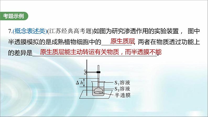 苏教版2024届高考生物一轮复习（一）与细胞有关的概念、特点和作用的描述课件第6页