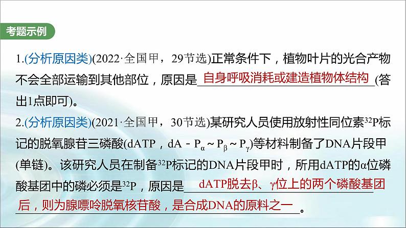 苏教版2024届高考生物一轮复习（二）细胞代谢中的原因分析课件02