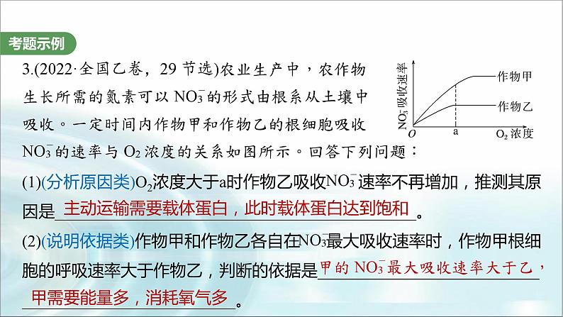 苏教版2024届高考生物一轮复习（二）细胞代谢中的原因分析课件03