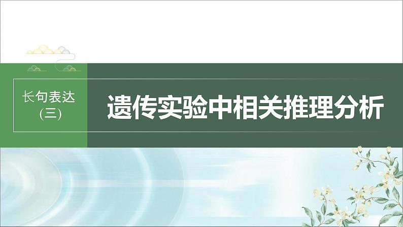 苏教版2024届高考生物一轮复习（三）遗传实验中相关推理分析课件第1页