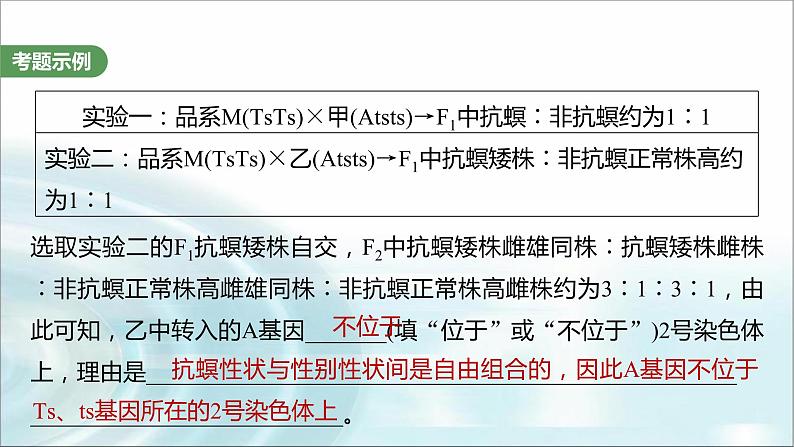 苏教版2024届高考生物一轮复习（三）遗传实验中相关推理分析课件第3页