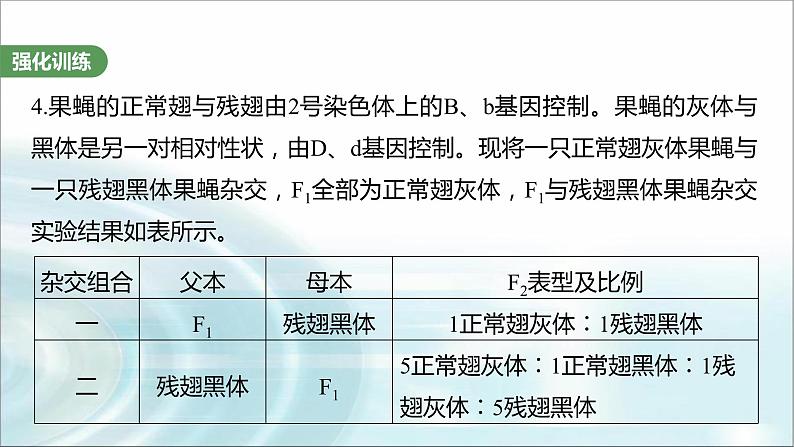 苏教版2024届高考生物一轮复习（三）遗传实验中相关推理分析课件第8页