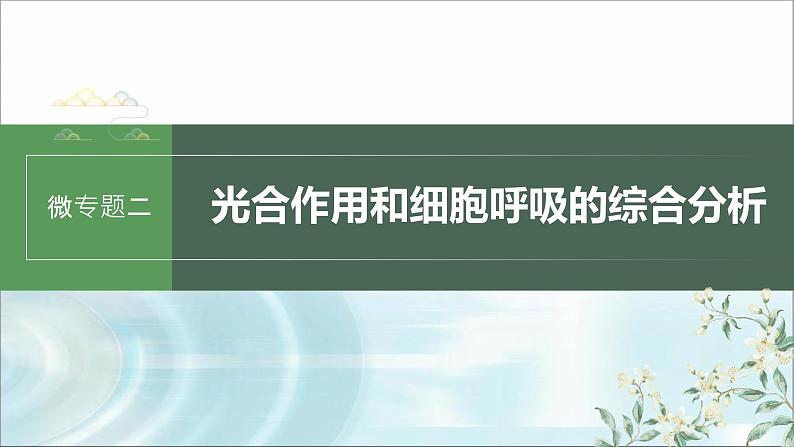 苏教版2024届高考生物一轮复习微专题二光合作用和细胞呼吸的综合分析课件第1页