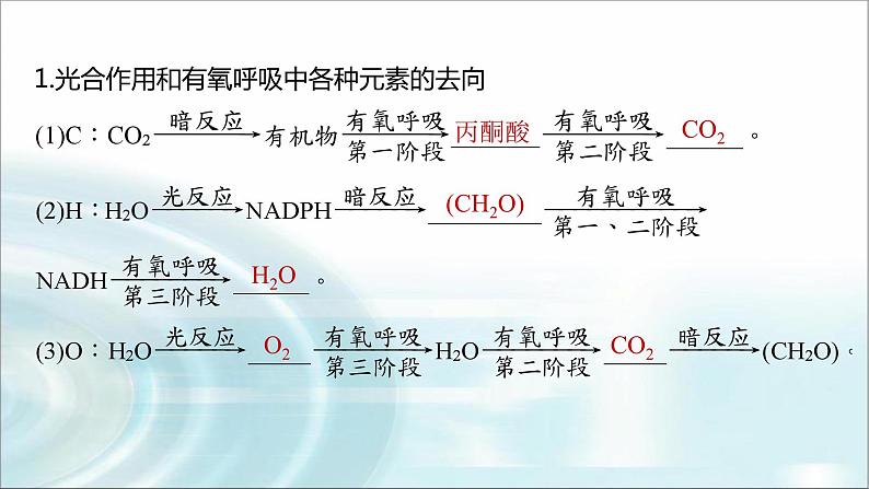 苏教版2024届高考生物一轮复习微专题二光合作用和细胞呼吸的综合分析课件第3页