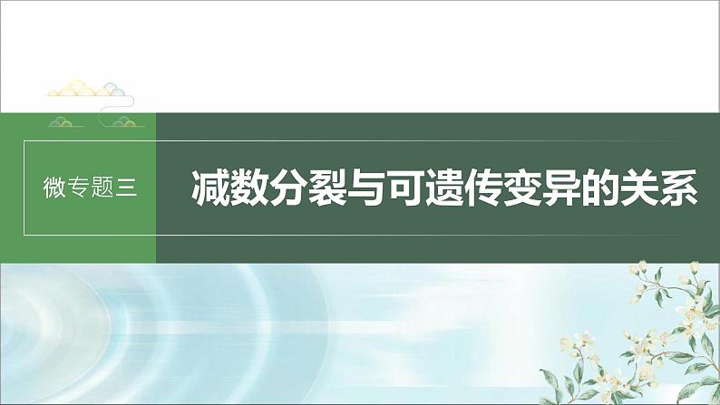 苏教版2024届高考生物一轮复习微专题三减数分裂与可遗传变异的关系课件01