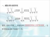 苏教版2024届高考生物一轮复习微专题三减数分裂与可遗传变异的关系课件