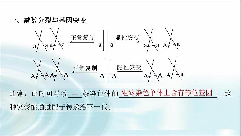 苏教版2024届高考生物一轮复习微专题三减数分裂与可遗传变异的关系课件02