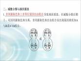 苏教版2024届高考生物一轮复习微专题三减数分裂与可遗传变异的关系课件
