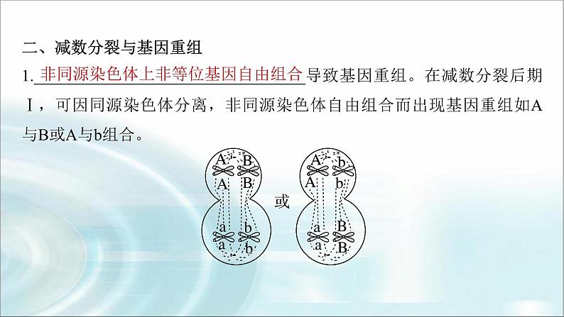 苏教版2024届高考生物一轮复习微专题三减数分裂与可遗传变异的关系课件03