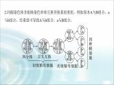 苏教版2024届高考生物一轮复习微专题三减数分裂与可遗传变异的关系课件