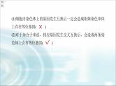 苏教版2024届高考生物一轮复习微专题三减数分裂与可遗传变异的关系课件