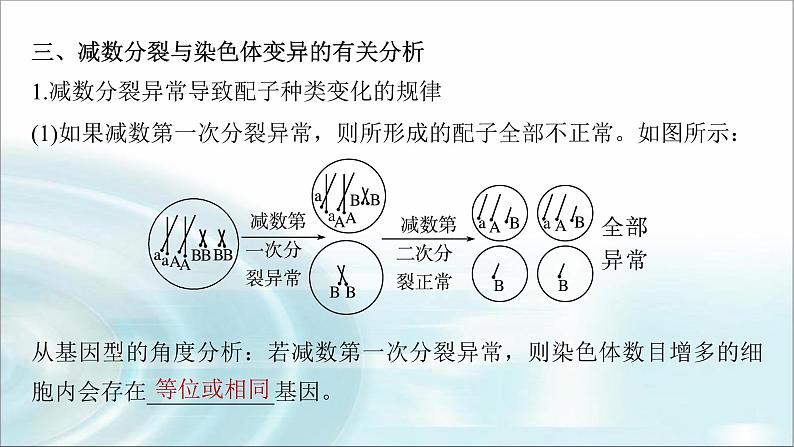 苏教版2024届高考生物一轮复习微专题三减数分裂与可遗传变异的关系课件06