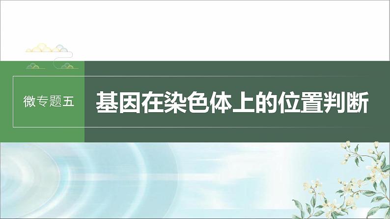 苏教版2024届高考生物一轮复习微专题五基因在染色体上的位置判断课件01