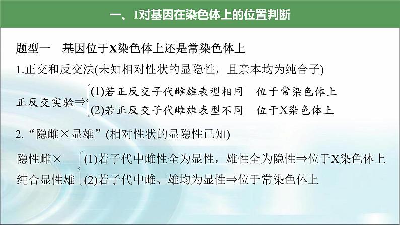 苏教版2024届高考生物一轮复习微专题五基因在染色体上的位置判断课件02