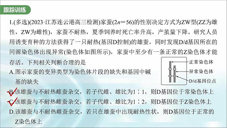 苏教版2024届高考生物一轮复习微专题五基因在染色体上的位置判断课件03