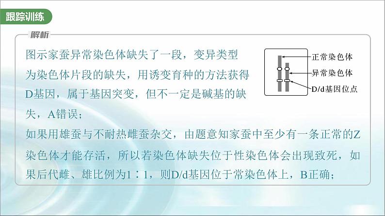 苏教版2024届高考生物一轮复习微专题五基因在染色体上的位置判断课件04