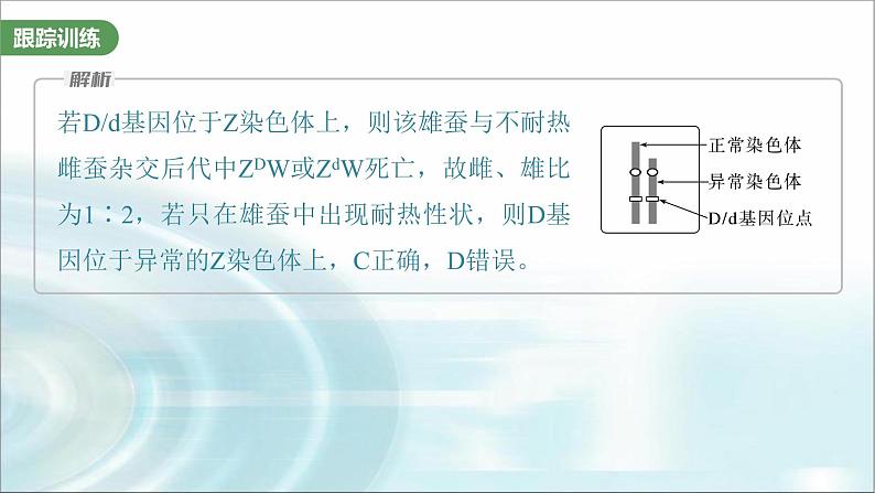 苏教版2024届高考生物一轮复习微专题五基因在染色体上的位置判断课件05